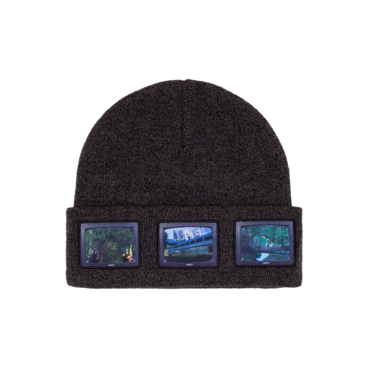IV SCREENS BEANIE
