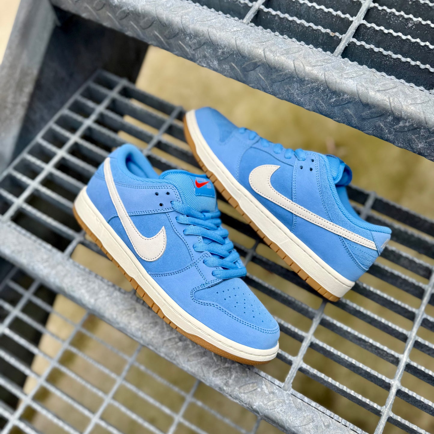 DUNK LOW PRO (UNIVERSITY BLUE GUM)