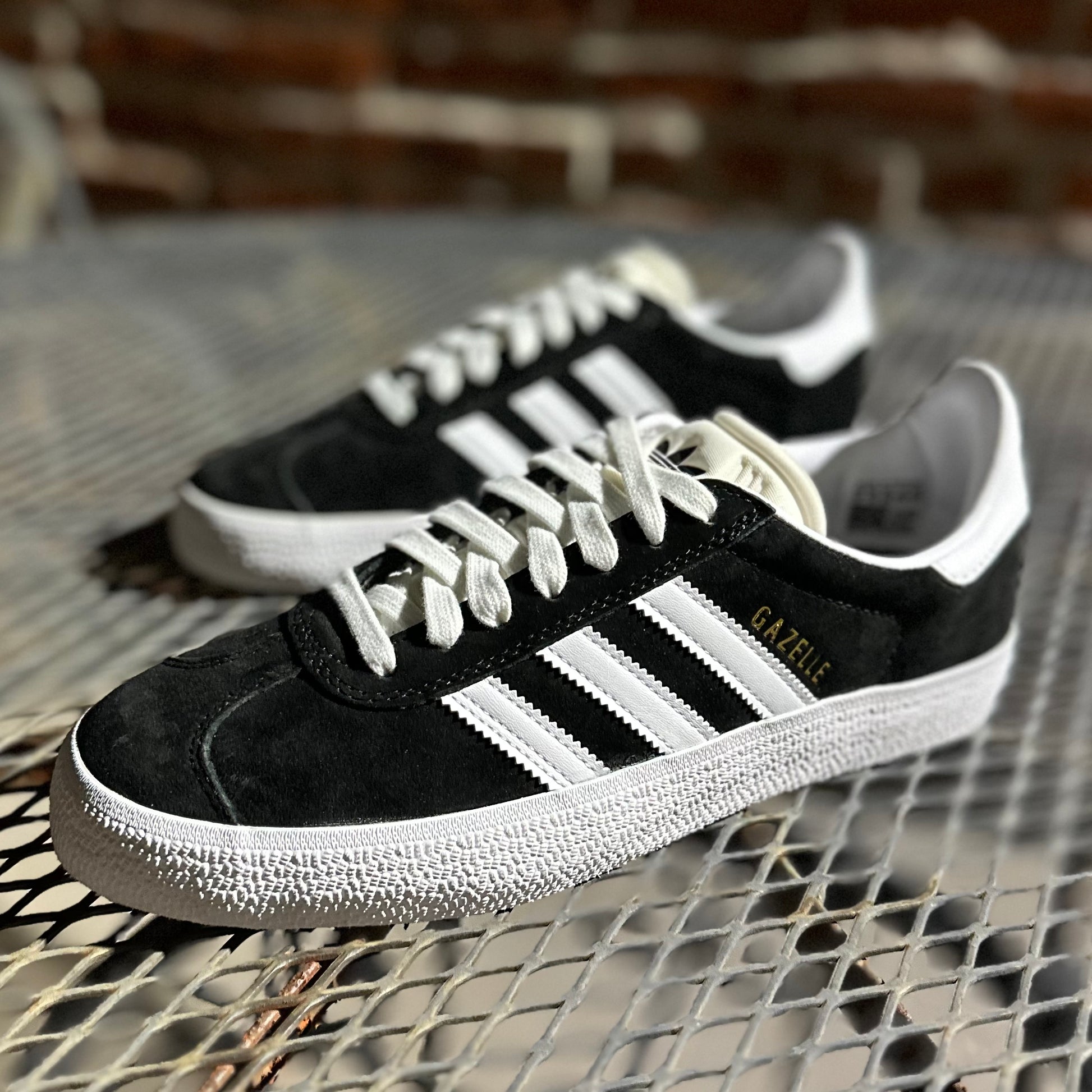 GAZELLE ADV - 7 GAZELLE ADV - 7